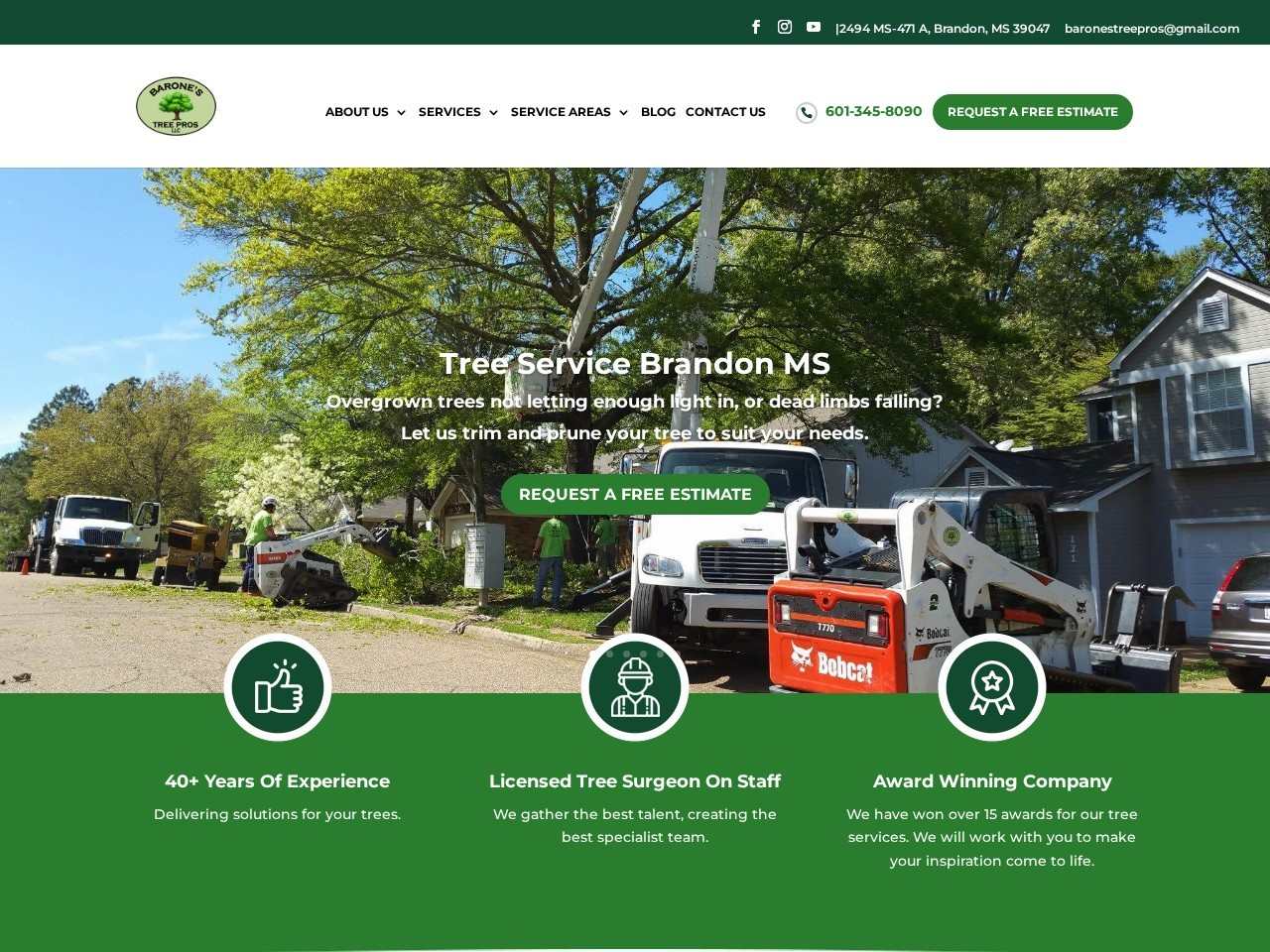 Barone's Tree Pros homepage, a tree service company in the Jackson, MS metro